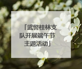 武警桂林支队开展端午节主题活动