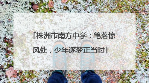 株洲市南方中学：笔落惊风处，少年逐梦正当时