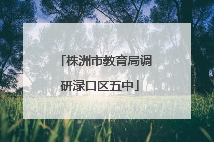 株洲市教育局调研渌口区五中