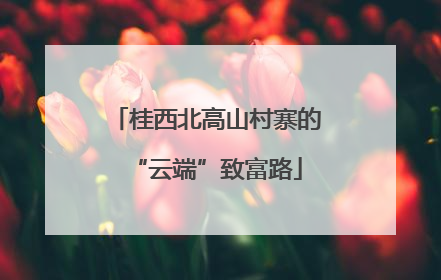 桂西北高山村寨的“云端”致富路