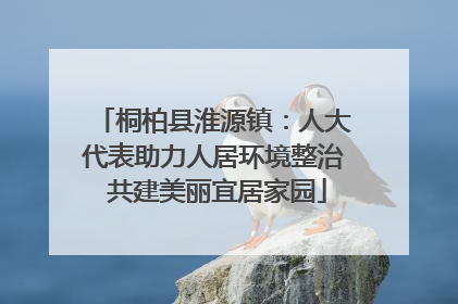 桐柏县淮源镇：人大代表助力人居环境整治 共建美丽宜居家园