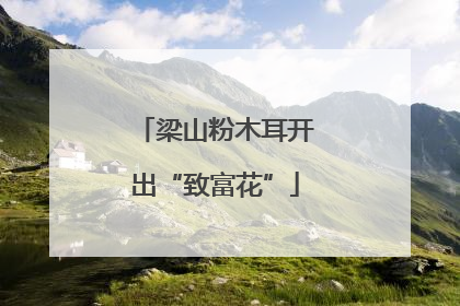 梁山粉木耳开出“致富花”