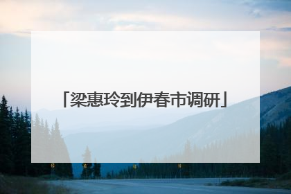 梁惠玲到伊春市调研