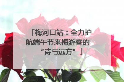 梅河口站：全力护航端午节来梅游客的“诗与远方”