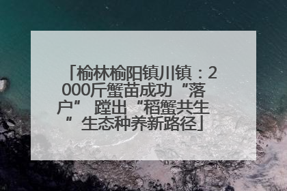 榆林榆阳镇川镇：2000斤蟹苗成功“落户” 蹚出“稻蟹共生”生态种养新路径