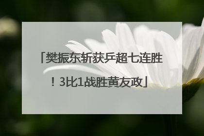 樊振东斩获乒超七连胜！3比1战胜黄友政