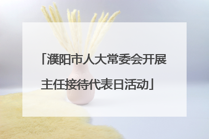 濮阳市人大常委会开展主任接待代表日活动