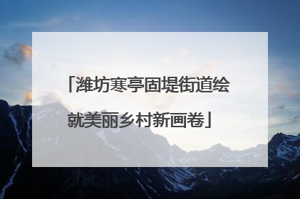 潍坊寒亭固堤街道绘就美丽乡村新画卷