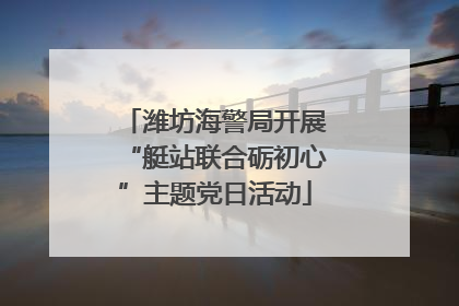 潍坊海警局开展“艇站联合砺初心”主题党日活动