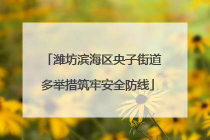 潍坊滨海区央子街道多举措筑牢安全防线