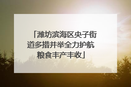 潍坊滨海区央子街道多措并举全力护航粮食丰产丰收