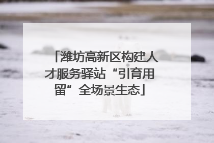 潍坊高新区构建人才服务驿站“引育用留”全场景生态