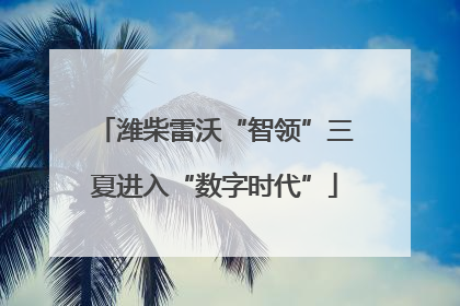 潍柴雷沃“智领”三夏进入“数字时代”