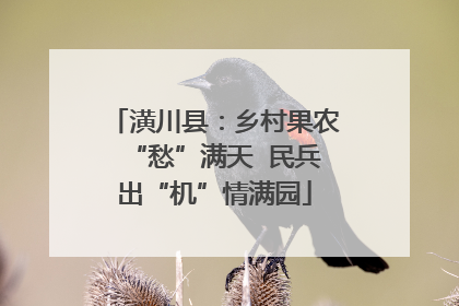 潢川县：乡村果农“愁”满天  民兵出“机”情满园