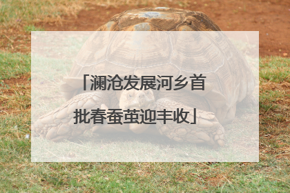 澜沧发展河乡首批春蚕茧迎丰收