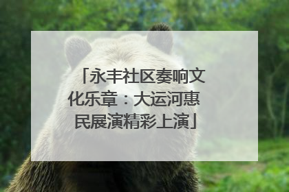 永丰社区奏响文化乐章：大运河惠民展演精彩上演