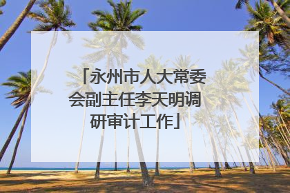 永州市人大常委会副主任李天明调研审计工作