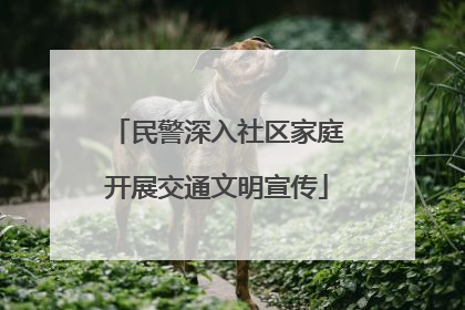 民警深入社区家庭开展交通文明宣传
