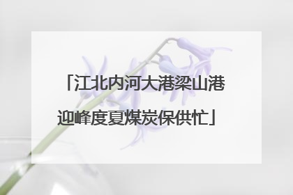 江北内河大港梁山港迎峰度夏煤炭保供忙