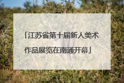 江苏省第十届新人美术作品展览在南通开幕