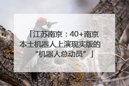 江苏南京：40+南京本土机器人上演现实版的“机器人总动员”