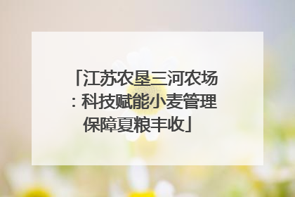 江苏农垦三河农场：科技赋能小麦管理保障夏粮丰收