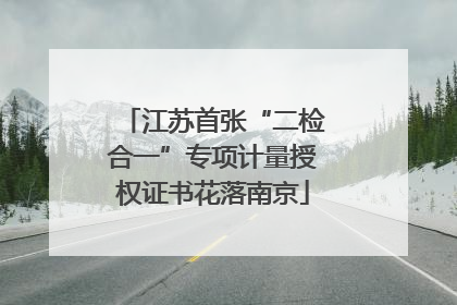 江苏首张“二检合一”专项计量授权证书花落南京