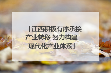 江西积极有序承接产业转移 努力构建现代化产业体系