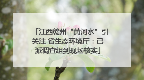 江西赣州“黄河水”引关注 省生态环境厅：已派调查组到现场核实