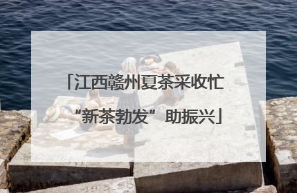 江西赣州夏茶采收忙 “新茶勃发”助振兴