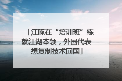 江豚在“培训班”练就江湖本领，外国代表想复制技术回国