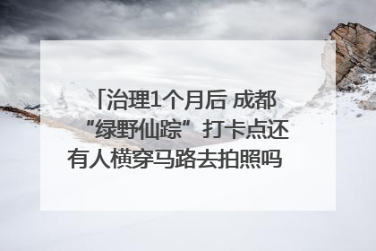 治理1个月后 成都“绿野仙踪”打卡点还有人横穿马路去拍照吗？｜民情瞭望