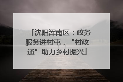 沈阳浑南区：政务服务进村屯，“村政通”助力乡村振兴