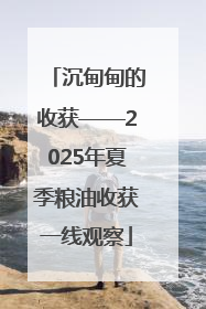 沉甸甸的收获——2025年夏季粮油收获一线观察