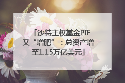 沙特主权基金PIF又“增肥”：总资产增至1.15万亿美元