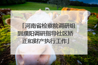 河南省检察院调研组到濮阳调研指导社区矫正和财产执行工作