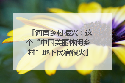 河南乡村振兴：这个“中国美丽休闲乡村”地下民宿很火