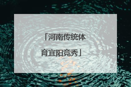 河南传统体育宜阳竞秀