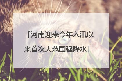 河南迎来今年入汛以来首次大范围强降水