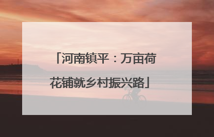 河南镇平：万亩荷花铺就乡村振兴路