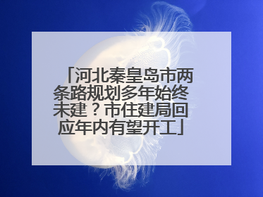 河北秦皇岛市两条路规划多年始终未建？市住建局回应年内有望开工