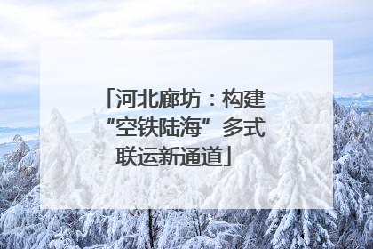 河北廊坊：构建“空铁陆海”多式联运新通道
