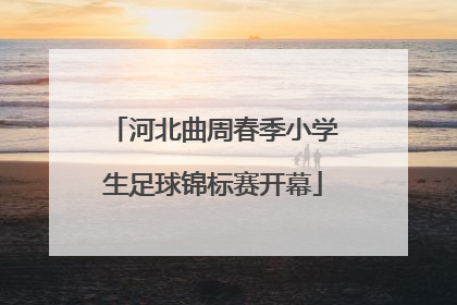 河北曲周春季小学生足球锦标赛开幕