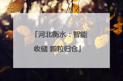 河北衡水：智能收储 颗粒归仓