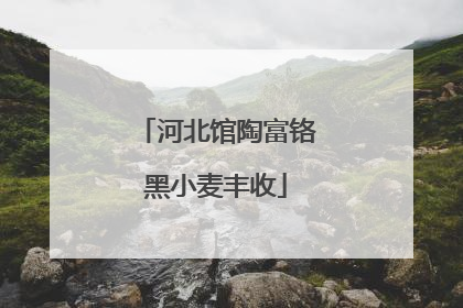 河北馆陶富铬黑小麦丰收