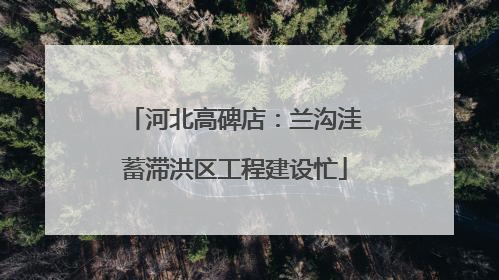 河北高碑店：兰沟洼蓄滞洪区工程建设忙