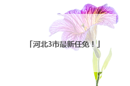 河北3市最新任免！
