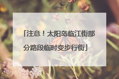 注意！太阳岛临江街部分路段临时变步行街