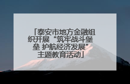 泰安市地方金融组织开展“筑牢战斗堡垒 护航经济发展”主题教育活动