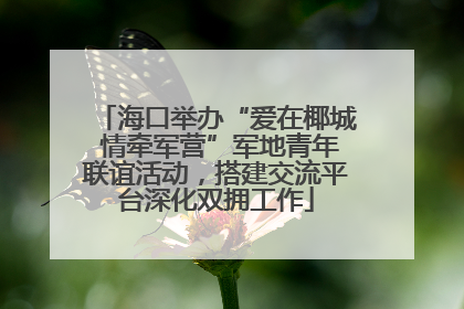 海口举办“爱在椰城 情牵军营”军地青年联谊活动，搭建交流平台深化双拥工作